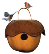 ADORABLE ACORN 2 GOURD BIRDHOUSE - Amish Hand Painted Bird HouseSaving Shepherd