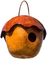 ADORABLE ACORN 2 GOURD BIRDHOUSE - Amish Hand Painted Bird HouseSaving Shepherd