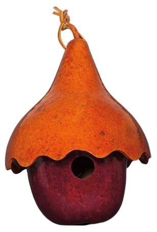 APPLE with HAT BIRDHOUSE - Amish Handmade 2 Gourd Bird HouseSaving Shepherd