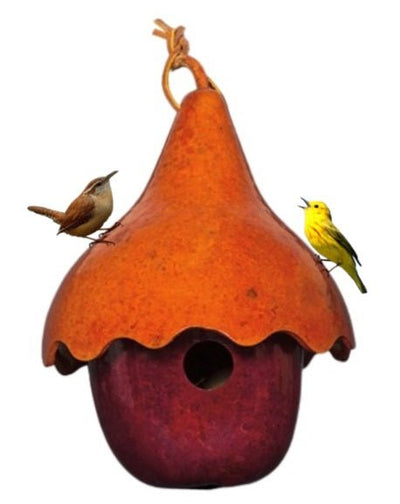 APPLE with HAT BIRDHOUSE - Amish Handmade 2 Gourd Bird HouseSaving Shepherd