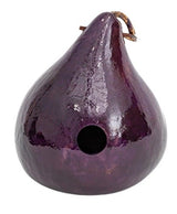 Birdhouse6 COLOR GOURD BIRDHOUSES - Set of Six: Red Blue Brown Orange Purple NaturalSaving Shepherd