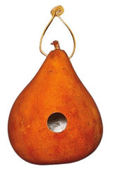 Birdhouse6 COLOR GOURD BIRDHOUSES - Set of Six: Red Blue Brown Orange Purple NaturalSaving Shepherd