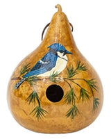 BirdhouseBLUE JAY GOURD BIRDHOUSE - Amish Hand Painted Bird HouseSaving Shepherd