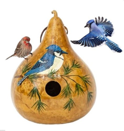 BirdhouseBLUE JAY GOURD BIRDHOUSE - Amish Hand Painted Bird HouseSaving Shepherd