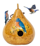 BirdhouseBLUEBIRD GOURD BIRDHOUSE - Amish Hand Painted Blue Bird HouseSaving Shepherd