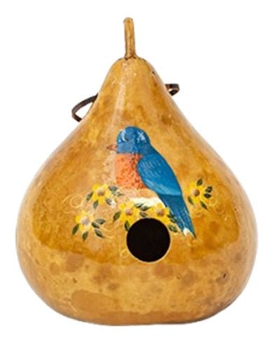 BirdhouseBLUEBIRD GOURD BIRDHOUSE - Amish Hand Painted Blue Bird HouseSaving Shepherd