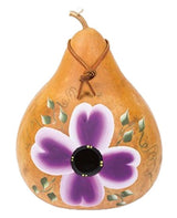 BirdhouseFLOWERING VINE GOURD BIRDHOUSE - Amish Hand Painted in 3 ColorsSaving Shepherd