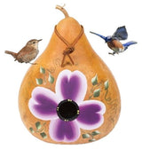 BirdhouseFLOWERING VINE GOURD BIRDHOUSE - Amish Hand Painted in 3 ColorsSaving Shepherd