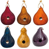 BirdhouseGOURD BIRDHOUSE - Handmade & Finished Bird House in 6 Colors Amish USAbirdbird houseSaving Shepherd