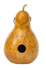 BirdhouseGOURD BIRDHOUSE - Handmade & Finished Bird House in 6 Colors Amish USAbirdbird houseSaving Shepherd