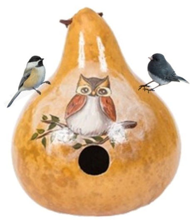 BirdhouseOWL GOURD BIRDHOUSE - Amish Hand Painted Bird House USASaving Shepherd