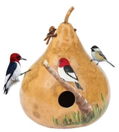 BirdhouseRED HEADED WOODPECKER BIRDHOUSE - Amish Hand Painted Bird HouseSaving Shepherd