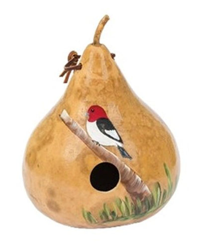 BirdhouseRED HEADED WOODPECKER BIRDHOUSE - Amish Hand Painted Bird HouseSaving Shepherd