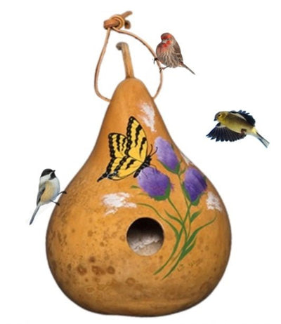 BUTTERFLY GOURD BIRDHOUSE - Amish Hand Painted Bird House USASaving Shepherd