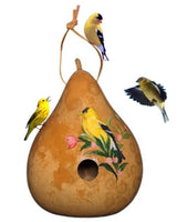 GOLDFINCH BIRDHOUSE - Hand Painted Gourd Bird House USASaving Shepherd