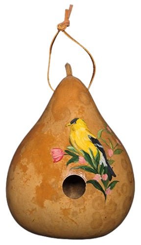 GOLDFINCH BIRDHOUSE - Hand Painted Gourd Bird House USASaving Shepherd