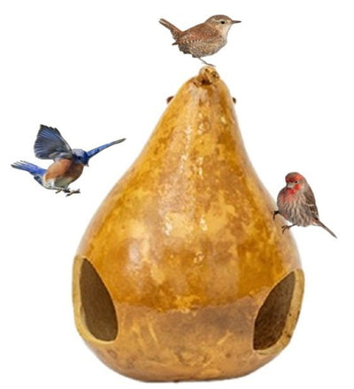 GOURD BIRD FEEDER - Amish Handmade in the USASaving Shepherd