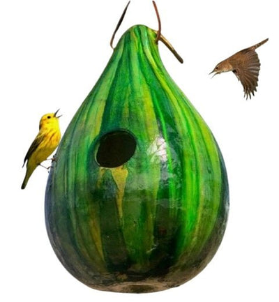 GREEN PSYCHEDELIC STRIPED BIRDHOUSE - Amish Hand Mottled Gourd Bird House USASaving Shepherd