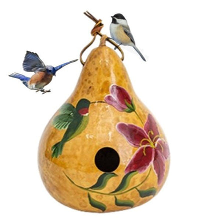 HUMMINGBIRD GOURD BIRDHOUSE - Amish Hand Painted Bird House USASaving Shepherd