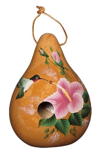 HUMMINGBIRD on HIBISCUS BIRDHOUSE - Hand Painted Flowers Gourd Bird House USASaving Shepherd