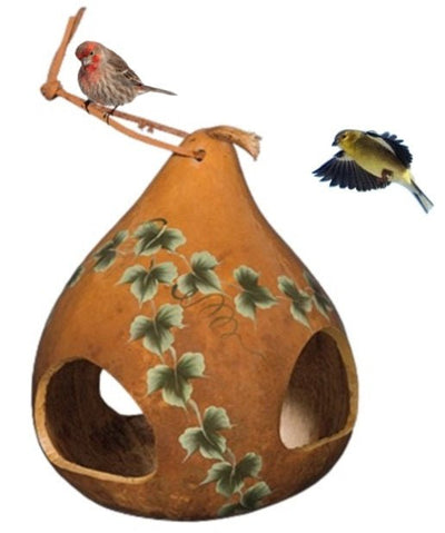 IVY GOURD BIRD FEEDER - Amish Handmade & Painted USASaving Shepherd