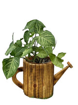 PlanterLarge Watering Can Wood Planter: Amish Handcrafted Rustic Garden Decor for Mums and FlowersSaving Shepherd