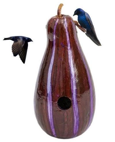 PURPLE PSYCHEDELIC STRIPED BIRDHOUSE - Amish Hand Mottled Gourd Bird HouseSaving Shepherd