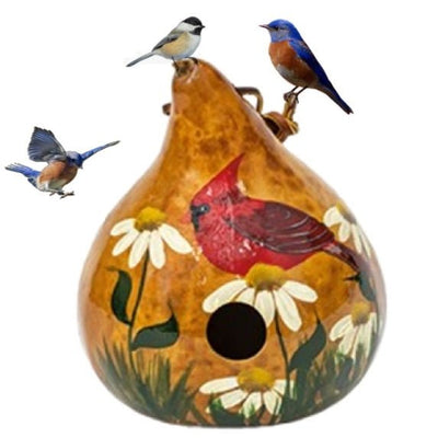 SPRING CARDINAL BIRDHOUSE - Amish Hand Painted Daisies Gourd Bird House USASaving Shepherd