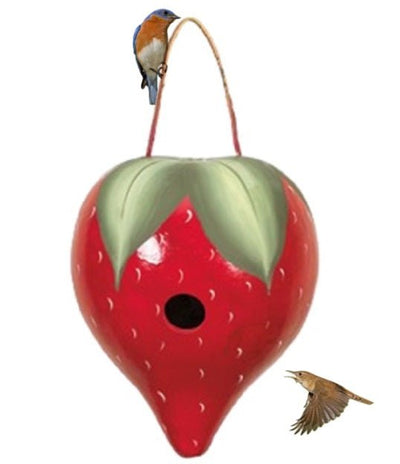 STRAWBERRY BIRDHOUSE - Amish Hand Painted Gourd Bird House USASaving Shepherd