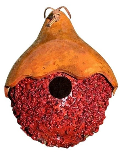 WARTY GOURD with HAT BIRDHOUSE - Amish Handcrafted Bird HouseSaving Shepherd