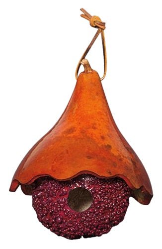 WARTY GOURD with HAT BIRDHOUSE - Amish Handcrafted Bird HouseSaving Shepherd