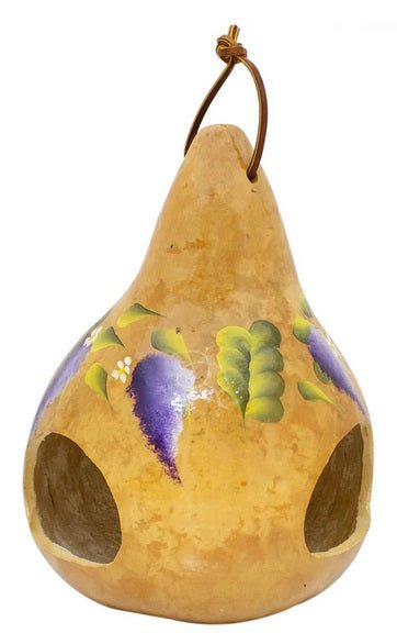 WISTERIA GOURD BIRD FEEDER - Amish Handmade & Painted USASaving Shepherd