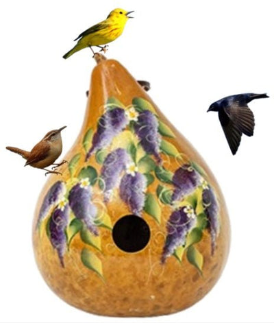 WISTERIA GOURD BIRDHOUSE - Amish Handmade & Hand Painted FlowersSaving Shepherd