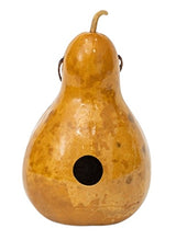 6 COLOR GOURD BIRDHOUSES - Set of Six: Red Blue Brown Orange Purple Natural