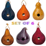 6 COLOR GOURD BIRDHOUSES - Set of Six: Red Blue Brown Orange Purple Natural